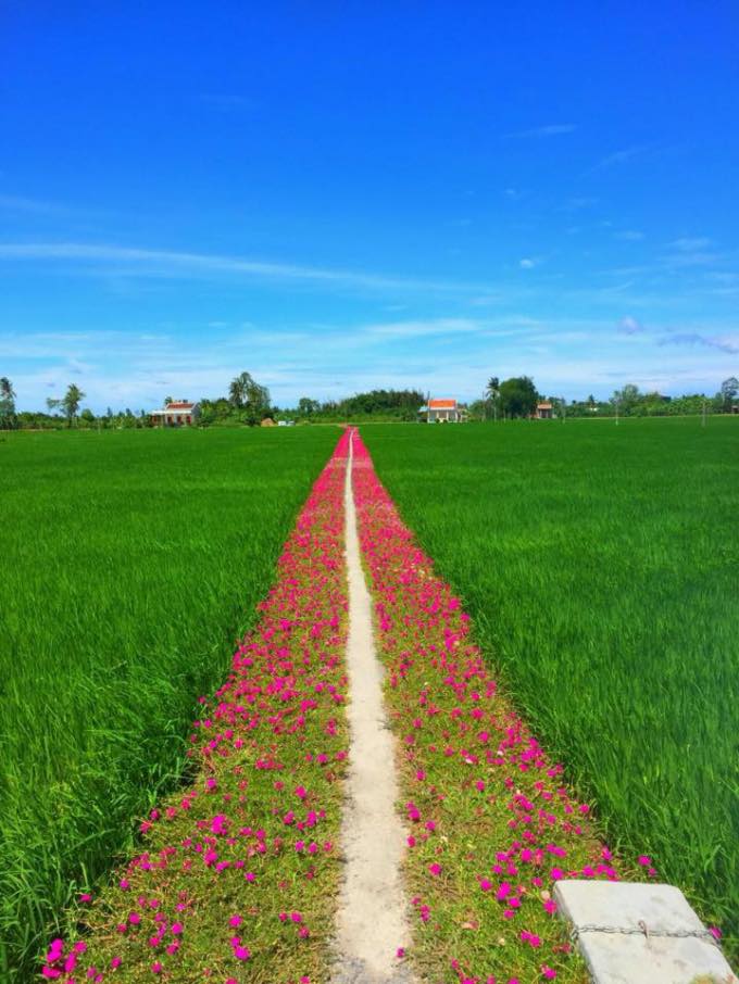 BẠN CÓ PHẢI LUÔN TRANH ĐẤU ĐỂ ĐẠT TỚI THÀNH CÔNG & HẠNH PHÚC HAY KHÔNG?