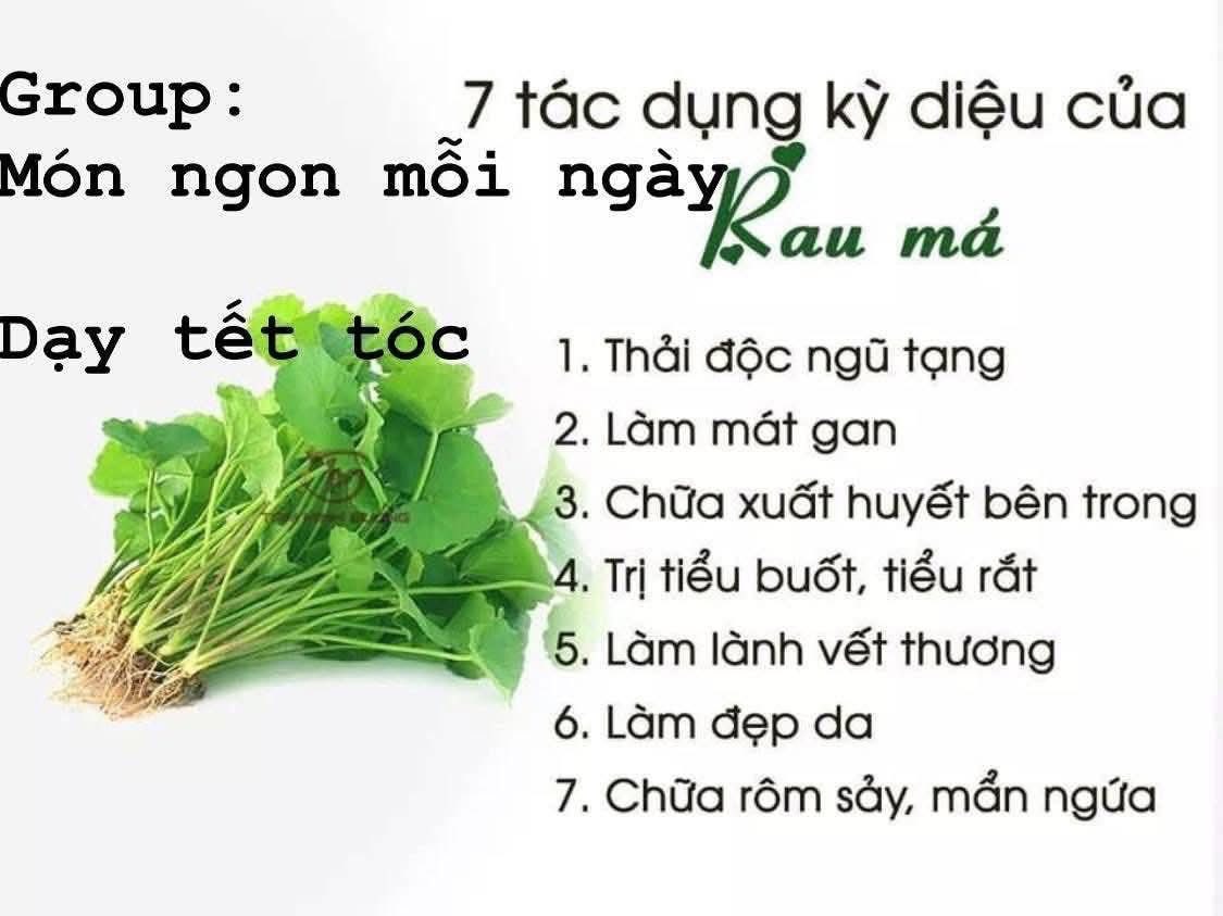 7  TÁC DỤNG CỦA RAU MA