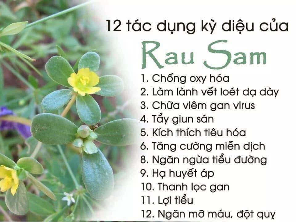 12 TÁC DỤNG KỲ DIỆU CỦA RAU SAM
