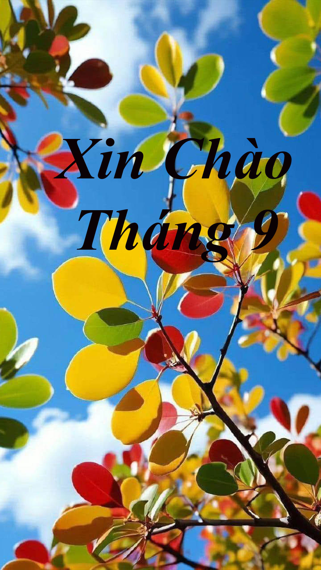 THÁNG 9 VỀ